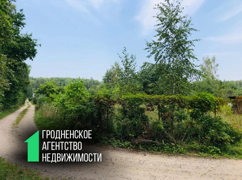 Land  Adelski sielski Saviet, Belarus