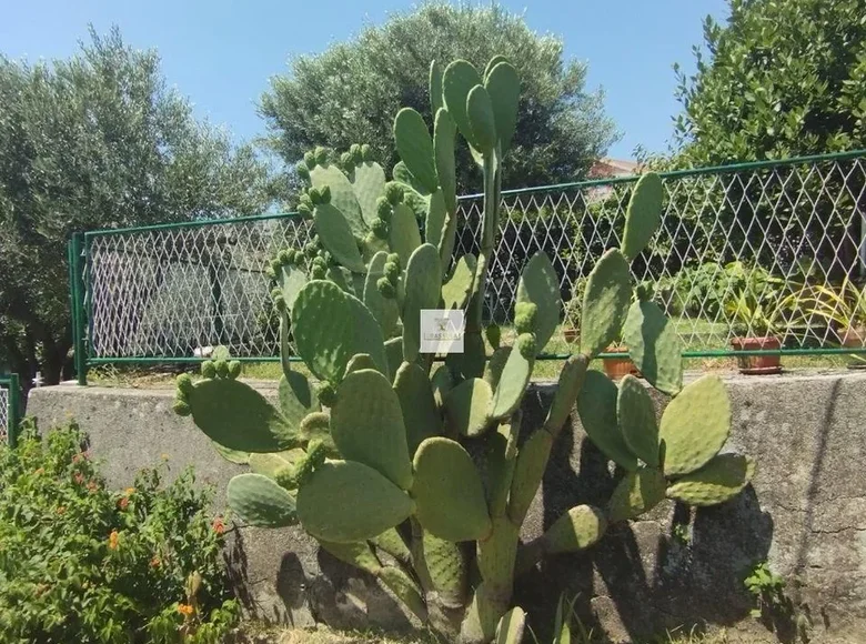 Dom 10 pokojów 225 m² Herceg Novi, Czarnogóra