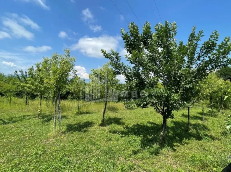 Atterrir 2 500 m² Tbilissi, Géorgie