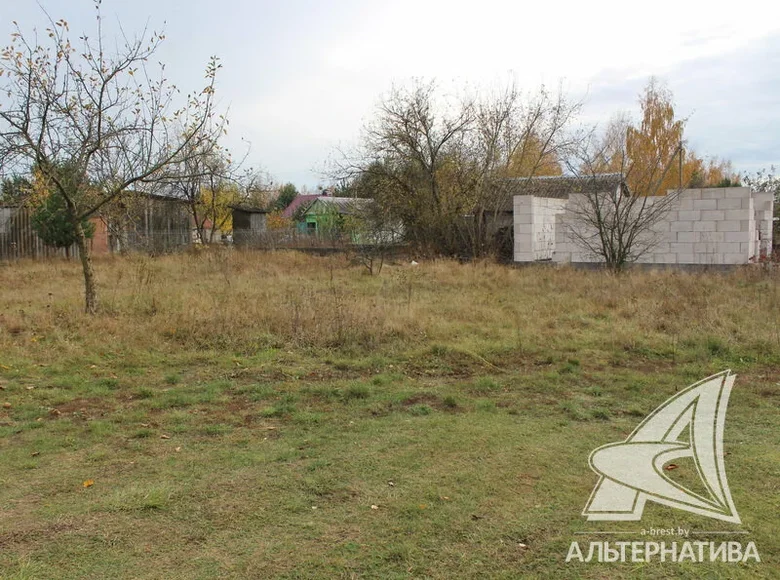 Parcelas  Cerninski sielski Saviet, Belarús