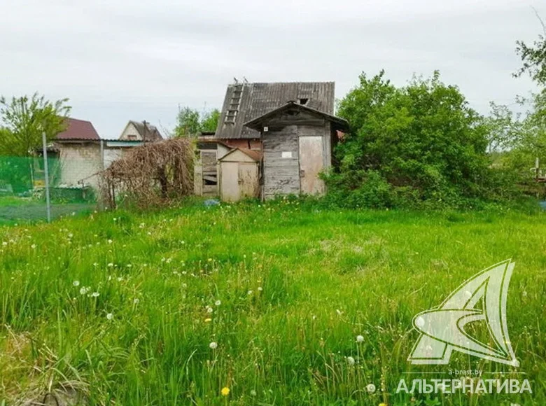 Atterrir  Muchaviecki sielski Saviet, Bélarus