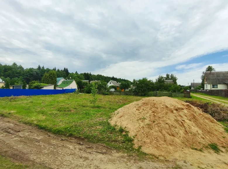 Atterrir  Barauski sielski Saviet, Bélarus