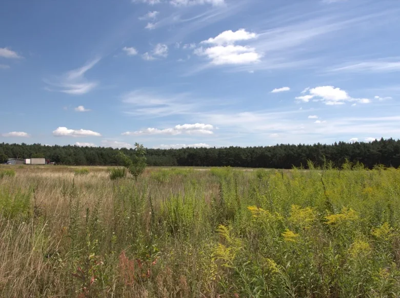 Działki 18 896 m² Krosno, Polska