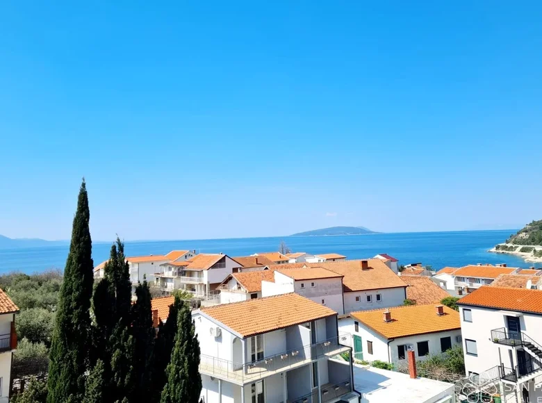 Appartement 1 chambre 39 m² Opcina Gradac, Croatie