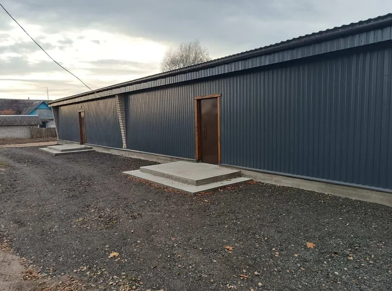 Магазин 8 комнат 232 м² в Плещеницах, Беларусь