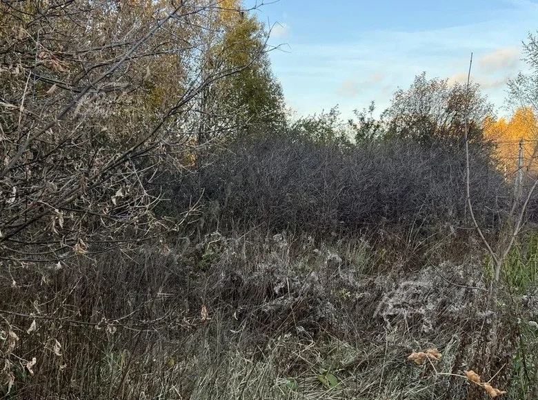 Parcelas  Zimyonki Zimenki Zimenka, Rusia