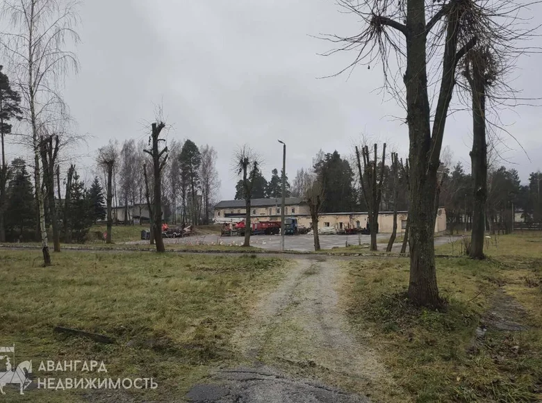 Office 66 m² in Krasnaje, Belarus
