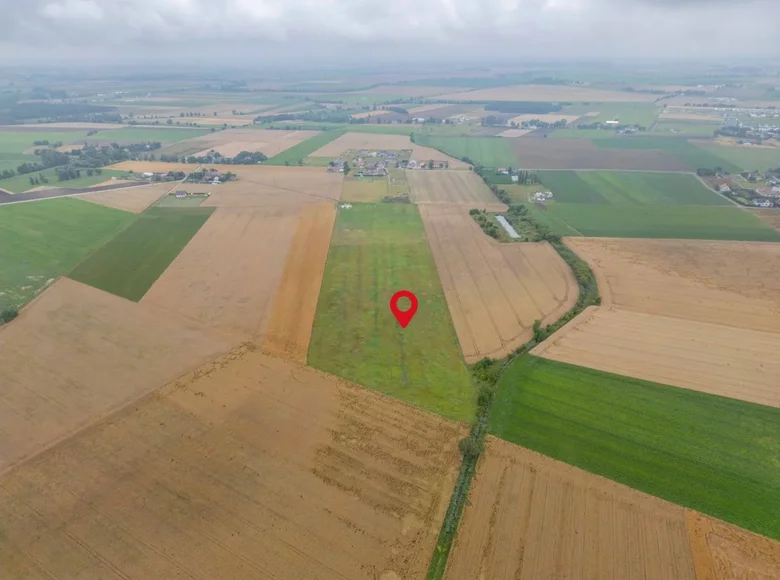 Дом 679 м² Dominowo, Польша