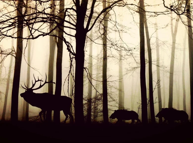 Działki  Andaluzja, Hiszpania