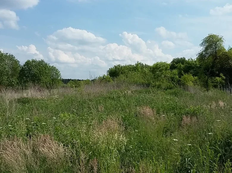 Земельные участки 1 005 м² Познань, Польша