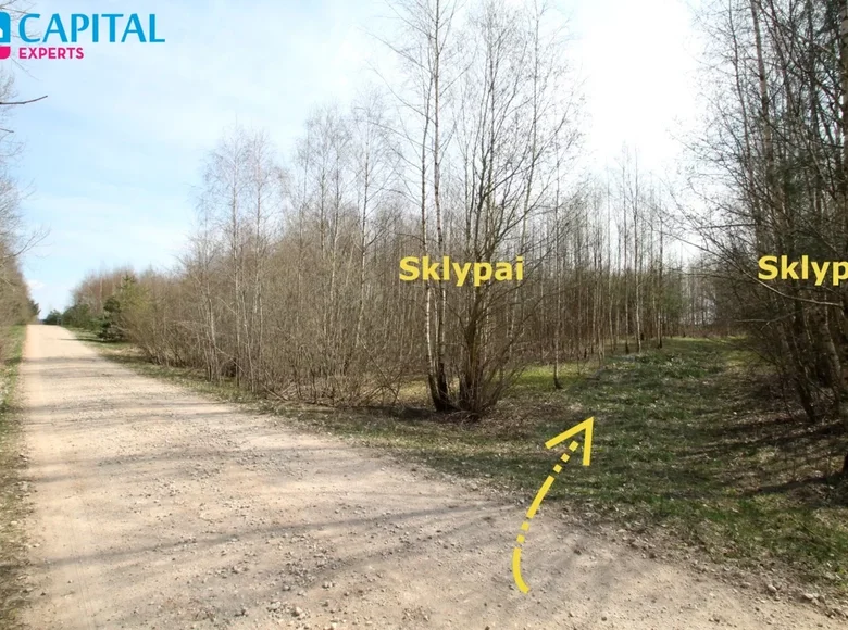 Land  Pavasareliai, Lithuania