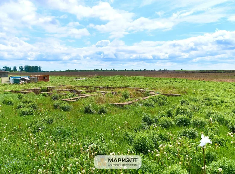 Land  Sitniki, Belarus