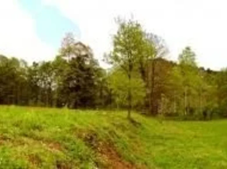 Atterrir 4 341 m² Podgorica, Monténégro