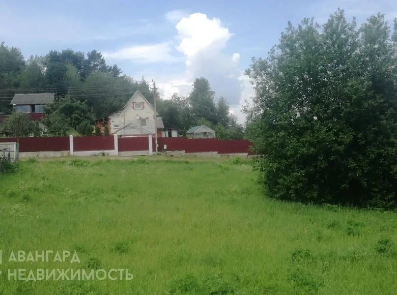 Land  Ozyaritska-Slabadski rural council, Belarus