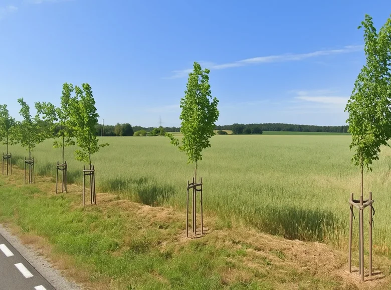 Apartment 43 871 m² Trzcielin, Poland