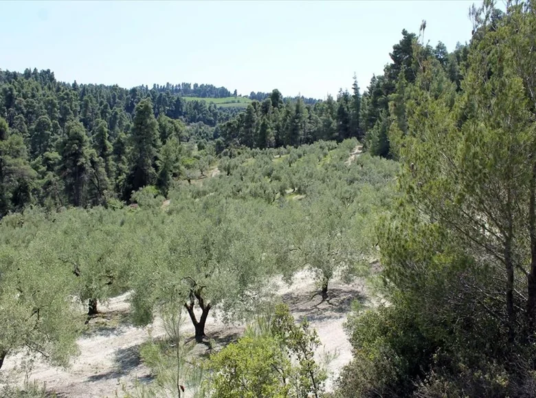 Parcelas 1 habitación  Skala Fourkas, Grecia