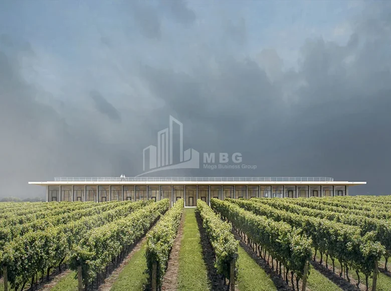 Nieruchomości komercyjne 500 m² Tbilisi, Gruzja