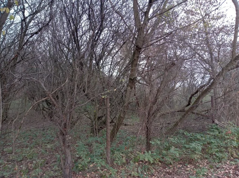 Parcelas 1 habitación 3 200 m² Dziekanow Polski, Polonia