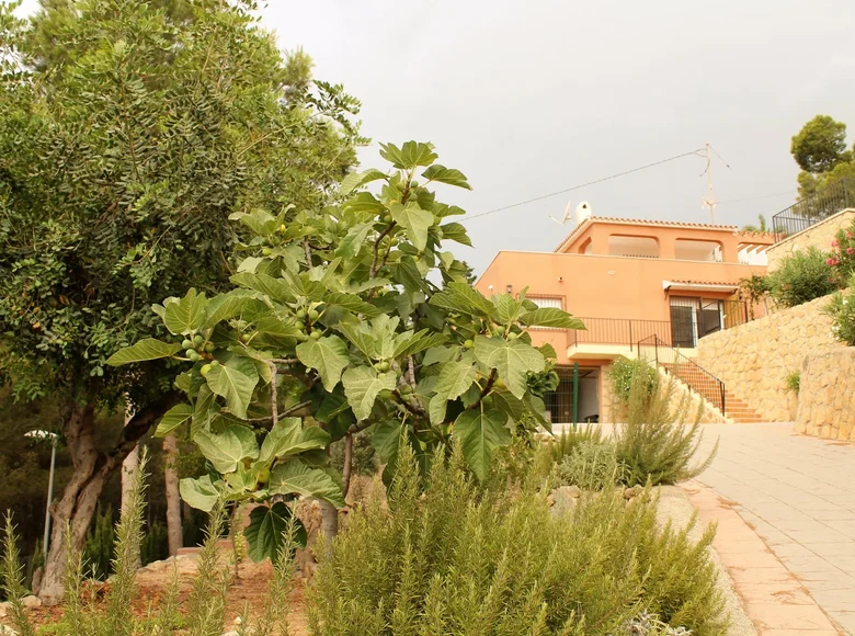 4-Schlafzimmer-Villa 320 m² La Nucia, Spanien