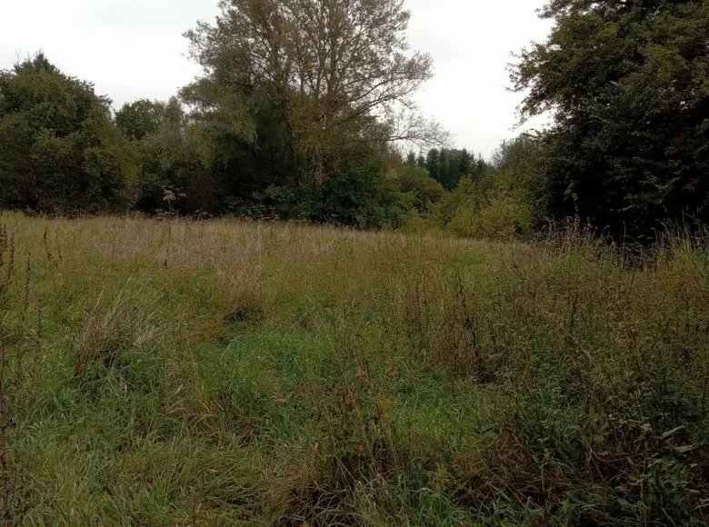 Atterrir 1 chambre 3 000 m² Kepa Kielpinska, Pologne