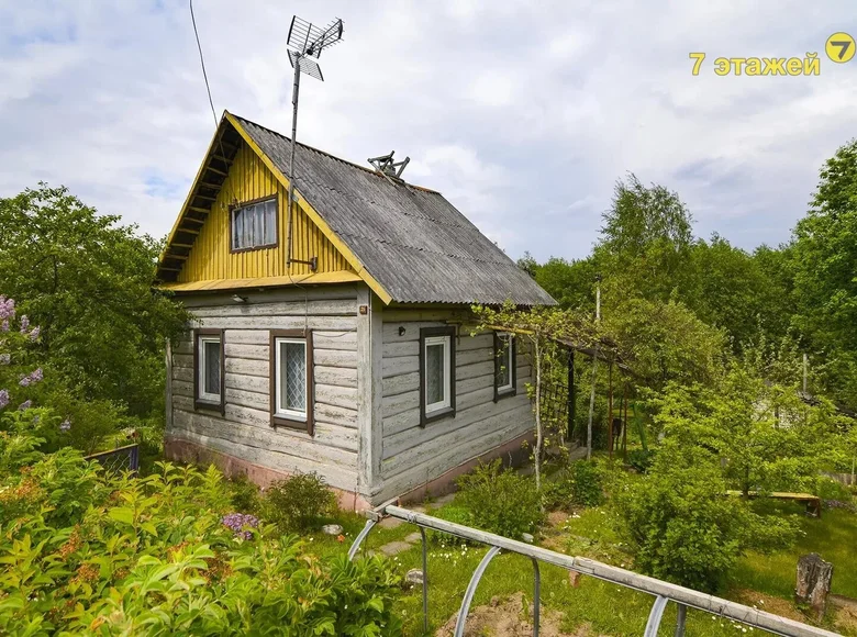 Haus 41 m² Piatryskauski sielski Saviet, Belarus