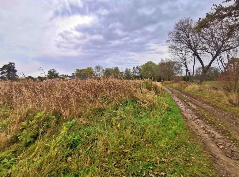 Maison 1 521 m² Cracovie, Pologne