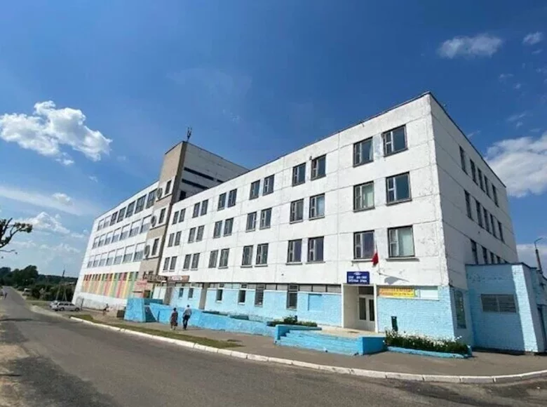 Commercial 9 114 m² in Orsha District, Belarus