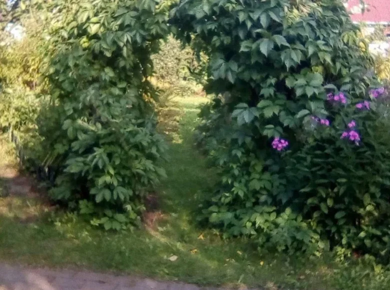 Земельные участки  Anninskoe gorodskoe poselenie, Россия