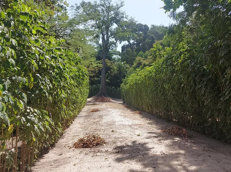 Land  Bartukunku, Republic of The Gambia