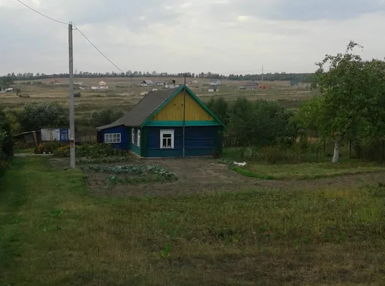 House 30 m² in Sinialo, Belarus