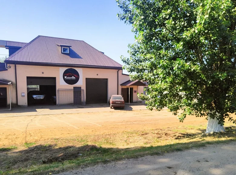 Магазин 302 м² Несвиж, Беларусь