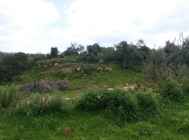Коммерческое помещение 100 073 м² Albufeira, Португалия