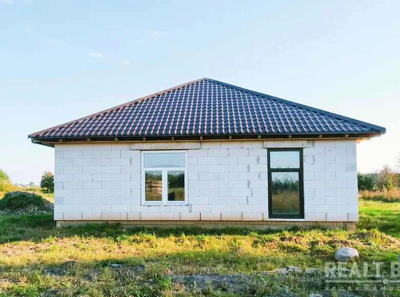 Cottage 98 m² in Uzda District, Belarus
