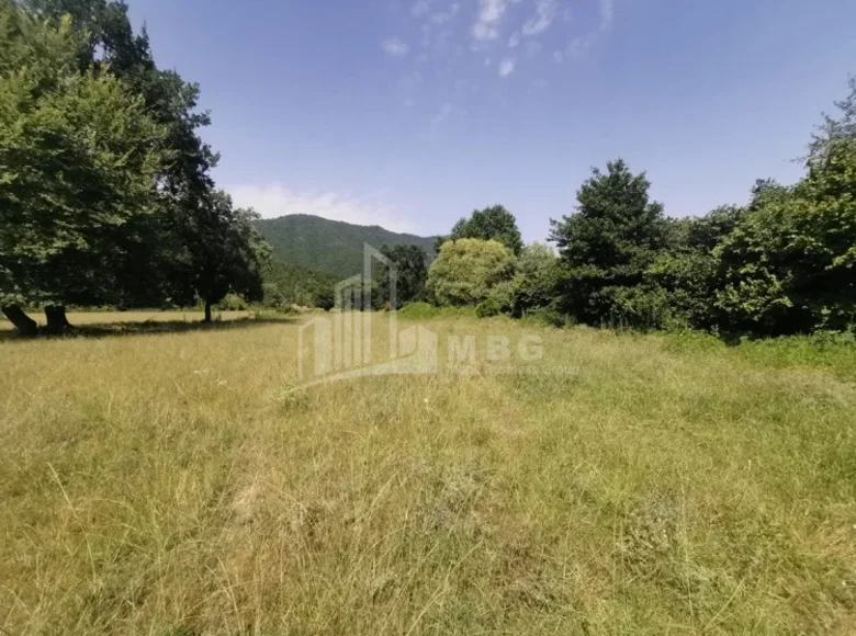 Land 12 500 m² Tbilisi, Georgia