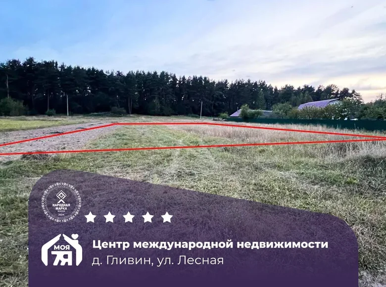 Land  Hlivin, Belarus