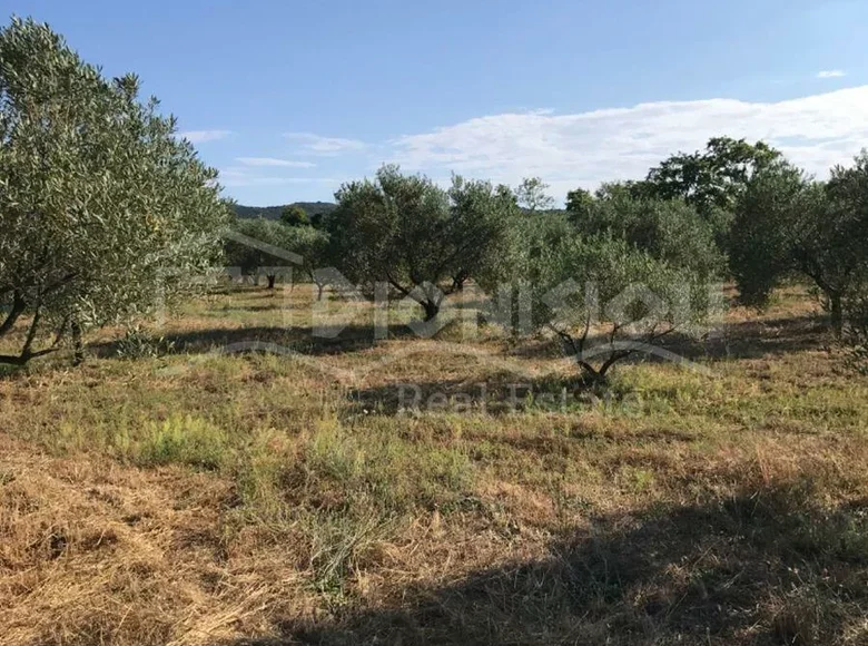 Land 10 500 m² Aristotle Municipality, Greece