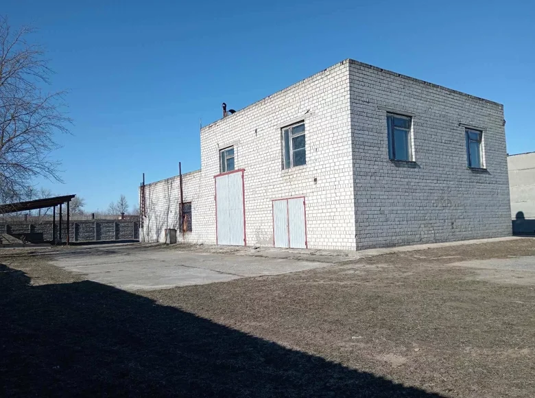Commercial property 266 m² in Babruysk, Belarus
