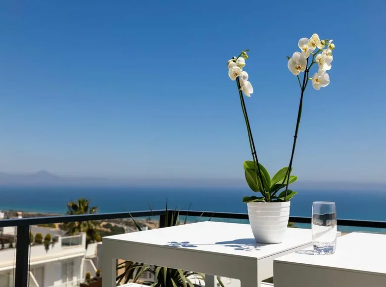 2-Schlafzimmer-Penthouse 75 m² Elx Elche, Spanien