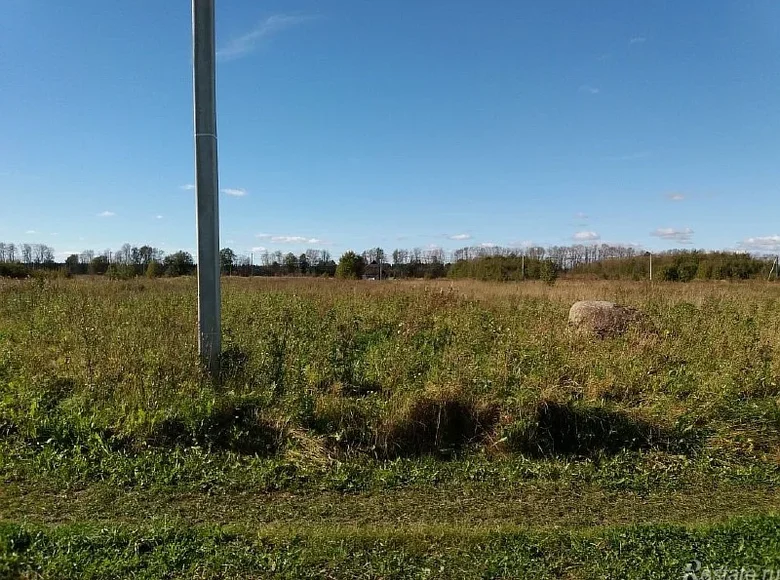 Land  Rabitickoe selskoe poselenie, Russia
