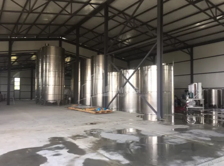 Nieruchomości komercyjne 1 250 m² Tbilisi, Gruzja