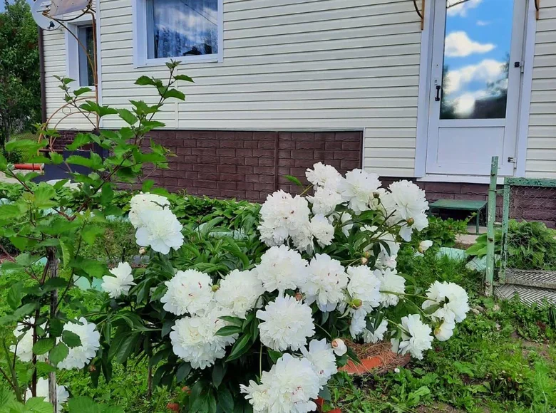 Maison 99 m² Piatryski, Bélarus