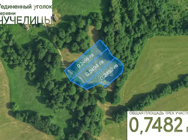 Land  Naracki sielski Saviet, Belarus