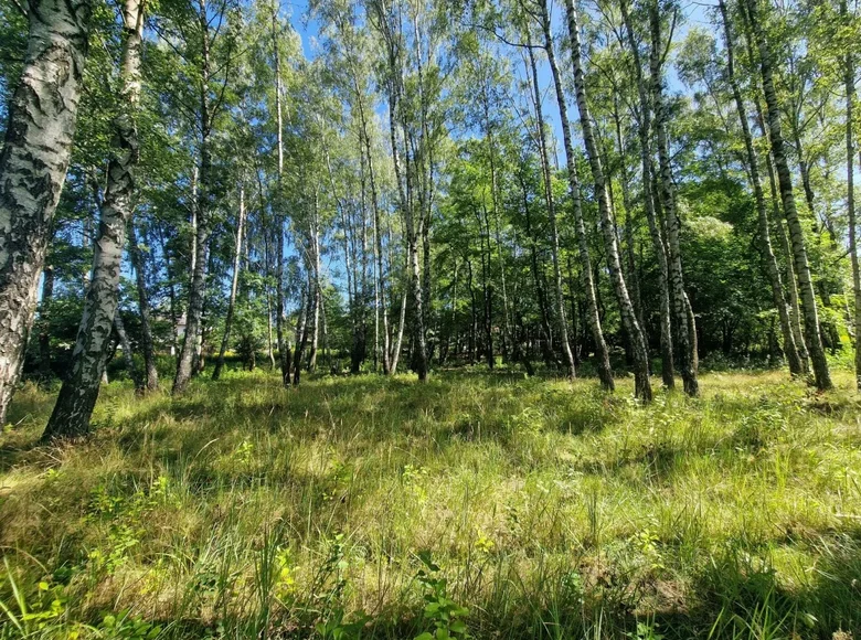 Apartamento 4 522 m² Lodz, Polonia