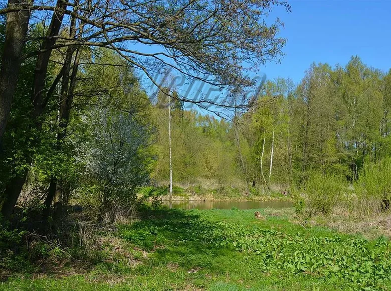 Maison  Matykalski sielski Saviet, Bélarus