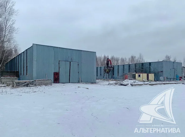 Produktion 575 m² Kobryn, Belarus
