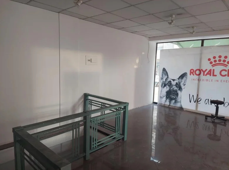 Sklep  Limassol, Cypr