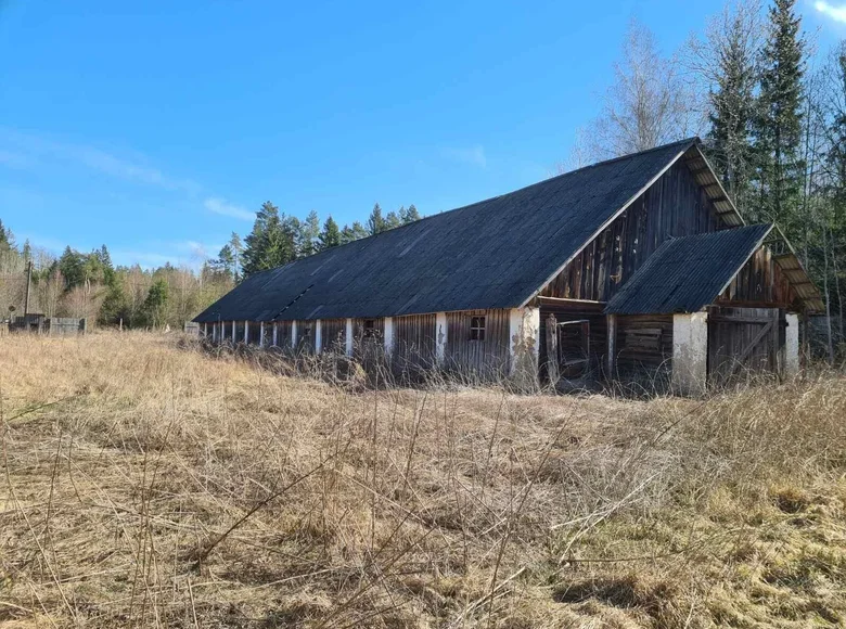 Produktion 491 m² Kreuski sielski Saviet, Belarus