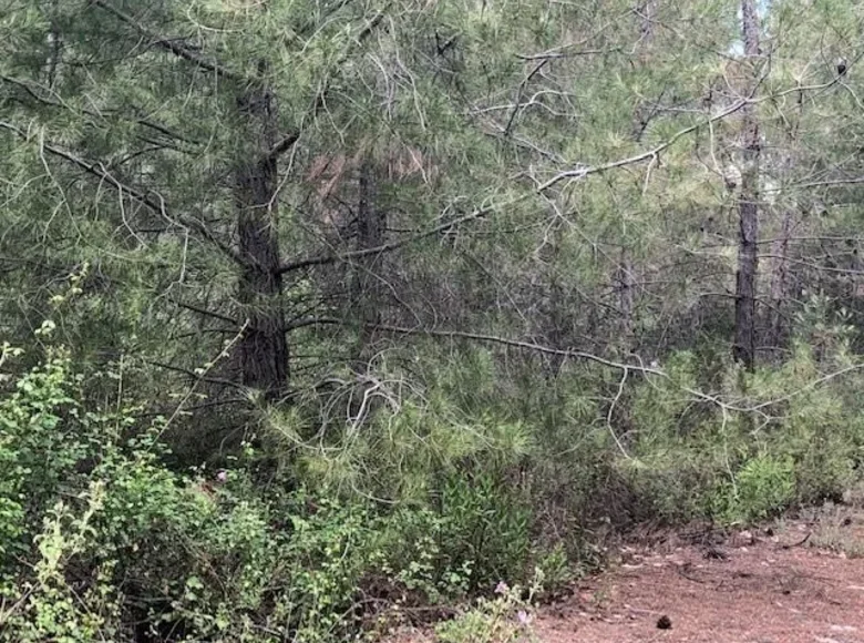 Apartamento  Moniatis, Chipre