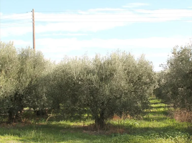 Land in Greece, Greece