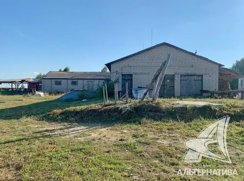 Manufacture 437 m² in Zabinkauski sielski Saviet, Belarus